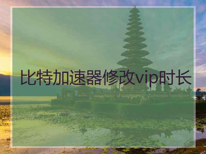 比特加速器修改vip时长